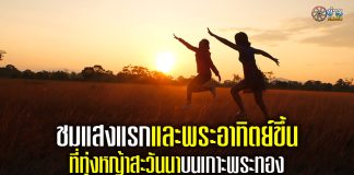 ชมแสงแรกและพระอาทิตย์ขึ้นที่ทุ่งหญ้าสะวันนาบนเกาะพระทอง ทุ่งซาฟารีอันซีนไทยแลนด์