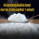 ข้าวสุกที่แช่ตู้เย็นมีประโยชน์ ต่างจาก ข้าวที่หุงสุกใหม่ๆ อย่างไร