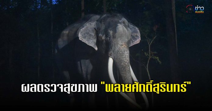 ปกทั่วไป 1080 1008