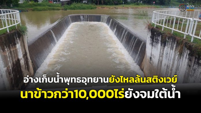 ปกยูทูป