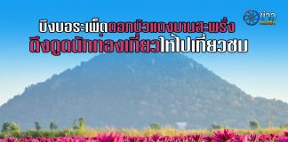 บึงบอระเพ็ดดอกบัวแดงบานสะพรั่ง ดึงดูดนักท่องเที่ยวให้ไปเที่ยวชม