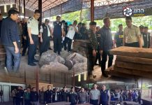 อธิบดีกรมอุทยาน ดีเอสไอ ลุยตรวจโรงไม้นายทุนจีนค้าไม้เถื่อน